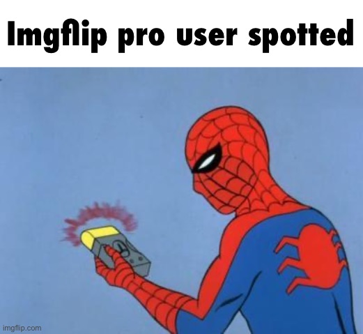 spiderman detector | Imgflip pro user spotted | image tagged in spiderman detector | made w/ Imgflip meme maker