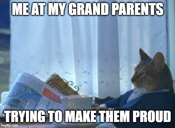 I Should Buy A Boat Cat | ME AT MY GRAND PARENTS; TRYING TO MAKE THEM PROUD | image tagged in memes,i should buy a boat cat | made w/ Imgflip meme maker