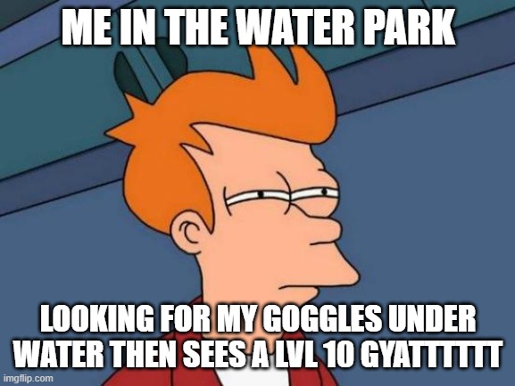 Futurama Fry Meme | ME IN THE WATER PARK; LOOKING FOR MY GOGGLES UNDER WATER THEN SEES A LVL 10 GYATTTTTT | image tagged in memes,futurama fry | made w/ Imgflip meme maker