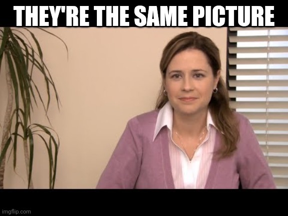 They're the same picture | THEY'RE THE SAME PICTURE | image tagged in they're the same picture | made w/ Imgflip meme maker