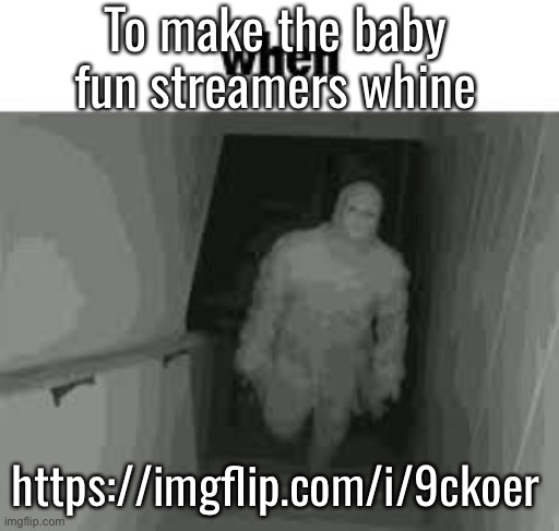 when | To make the baby fun streamers whine; https://imgflip.com/i/9ckoer | image tagged in when | made w/ Imgflip meme maker