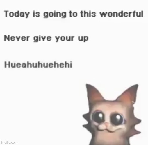 NEVER BACK DOWN NEVER WHAT? | made w/ Imgflip meme maker