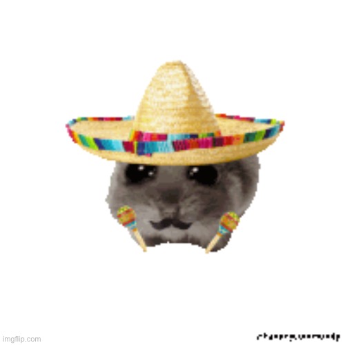 Mexican hampter | image tagged in hampter | made w/ Imgflip meme maker