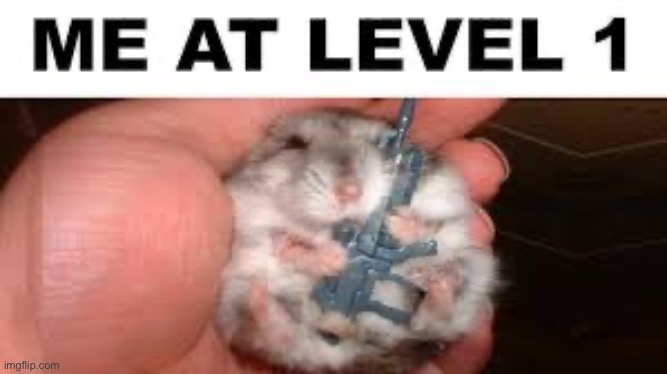 Level 1 Hamster | image tagged in memes,funny,gaming,hamster | made w/ Imgflip meme maker