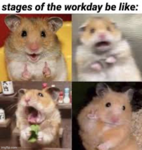 Stages of Work | image tagged in memes,funny,hamster,work | made w/ Imgflip meme maker