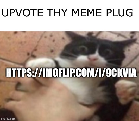 https://imgflip.com/i/9ckvia | UPVOTE THY MEME PLUG; HTTPS://IMGFLIP.COM/I/9CKVIA | image tagged in cat caught in 4 k | made w/ Imgflip meme maker