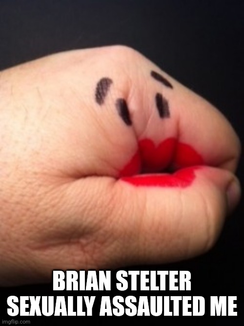 Hand puppet | BRIAN STELTER SEXUALLY ASSAULTED ME | image tagged in hand puppet | made w/ Imgflip meme maker