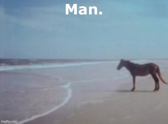 horse staring at ocean | Man. | image tagged in horse staring at ocean | made w/ Imgflip meme maker