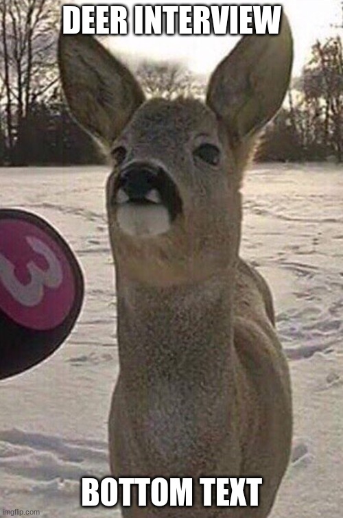 yes | DEER INTERVIEW; BOTTOM TEXT | image tagged in deer interview | made w/ Imgflip meme maker