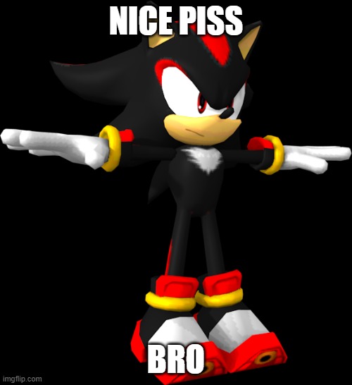 Nice Piss Bro... | NICE PISS; BRO | image tagged in shadow the hedgehog t pose | made w/ Imgflip meme maker