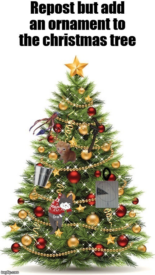 cat | made w/ Imgflip meme maker