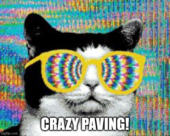 psychedelic cat | CRAZY PAVING! | image tagged in psychedelic cat | made w/ Imgflip meme maker