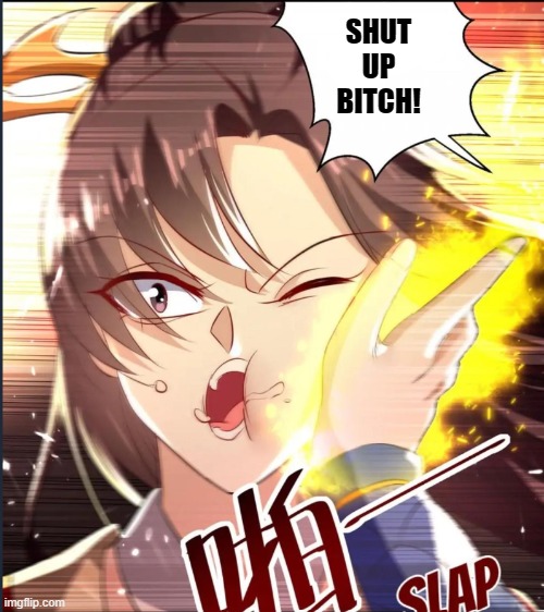 Slap on Bitch | SHUT UP BITCH! | image tagged in manhua,manhwa,arrogant bitch,anime | made w/ Imgflip meme maker