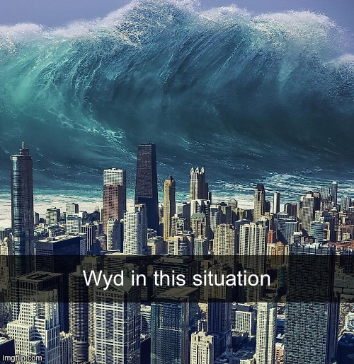 Wyd in this situation | made w/ Imgflip meme maker