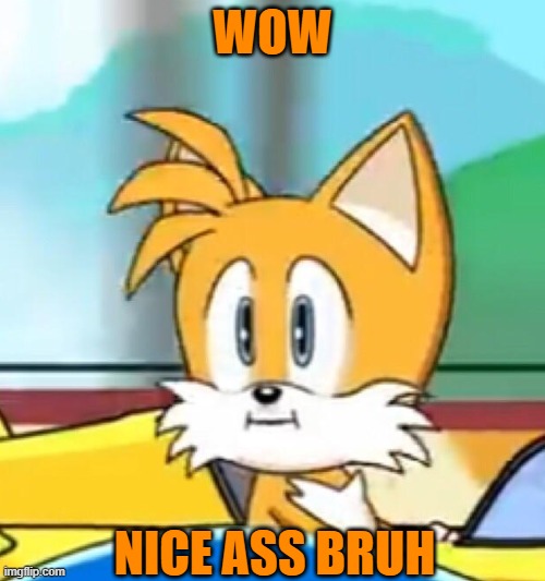 Nice ass bruh | WOW; NICE ASS BRUH | image tagged in tails hold up | made w/ Imgflip meme maker