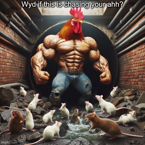 Image Title | Wyd if this is chasing your ahh? | image tagged in image tags | made w/ Imgflip meme maker