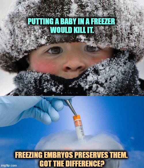 An embryo isn't a baby. Here's one reason why. | PUTTING A BABY IN A FREEZER 
WOULD KILL IT. FREEZING EMBRYOS PRESERVES THEM. 
GOT THE DIFFERENCE? | image tagged in baby,freezer,embryo,right to life,confusion | made w/ Imgflip meme maker