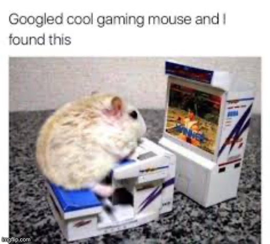 Hamster playing Arcade games | image tagged in memes,funny,hamster,gaming | made w/ Imgflip meme maker