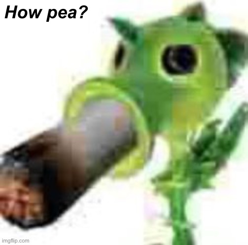 How pea? | image tagged in high peashooter | made w/ Imgflip meme maker