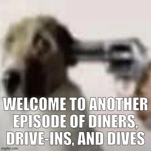dog gunpoint | WELCOME TO ANOTHER EPISODE OF DINERS, DRIVE-INS, AND DIVES | image tagged in dog gunpoint | made w/ Imgflip meme maker