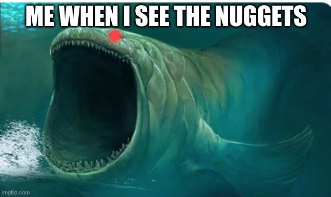 yummy fooood | ME WHEN I SEE THE NUGGETS | image tagged in screan,chicken nuggets | made w/ Imgflip meme maker