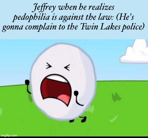 BFDI Snowball NOOOOO | Jeffrey when he realizes pedophilia is against the law: (He's gonna complain to the Twin Lakes police) | image tagged in bfdi snowball nooooo | made w/ Imgflip meme maker