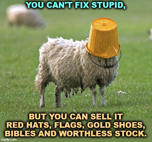 Stupid MAGA sheep | YOU CAN'T FIX STUPID, BUT YOU CAN SELL IT RED HATS, FLAGS, GOLD SHOES, BIBLES AND WORTHLESS STOCK. | image tagged in stupid sheep,maga,trump,greedy,hats,bibles | made w/ Imgflip meme maker