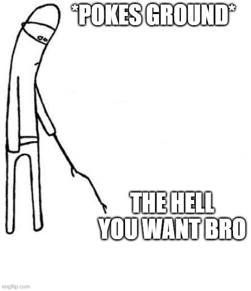 funny | *POKES GROUND*; THE HELL YOU WANT BRO | image tagged in c'mon do something | made w/ Imgflip meme maker