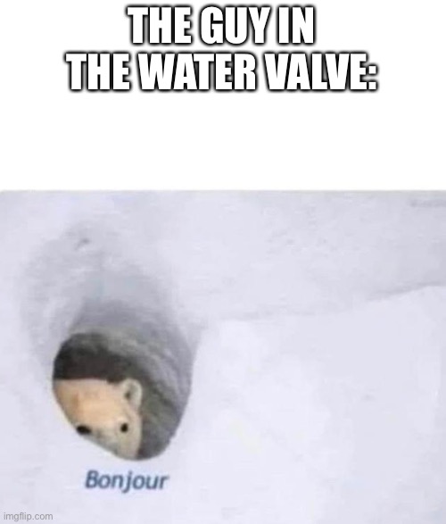 Bonjour | THE GUY IN THE WATER VALVE: | image tagged in bonjour | made w/ Imgflip meme maker