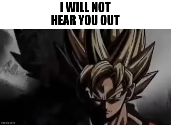 Goku Staring | I WILL NOT HEAR YOU OUT | image tagged in goku staring | made w/ Imgflip meme maker