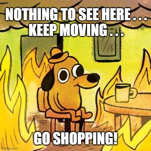 Shopping increased on Black Friday! | NOTHING TO SEE HERE . . .
KEEP MOVING . . . GO SHOPPING! | image tagged in dog in burning house | made w/ Imgflip meme maker