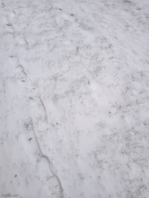 It's snowing so much rn | made w/ Imgflip meme maker