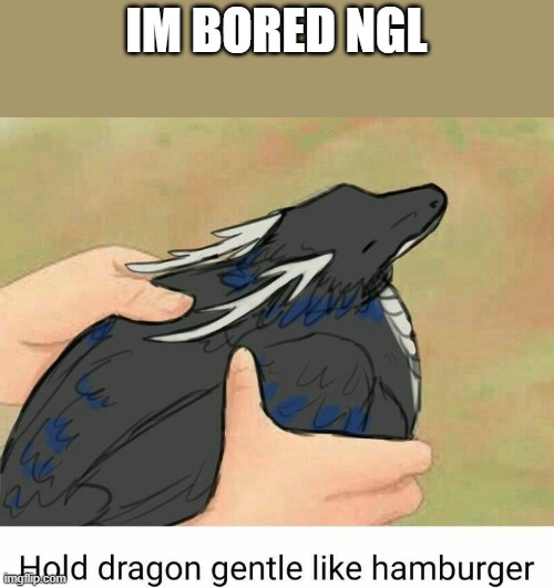 Hold dragon gentle like hamburger | IM BORED NGL | image tagged in hold dragon gentle like hamburger | made w/ Imgflip meme maker