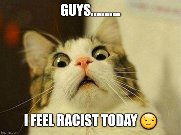 Scared Cat | GUYS........... I FEEL RACIST TODAY 😏 | image tagged in memes,scared cat | made w/ Imgflip meme maker