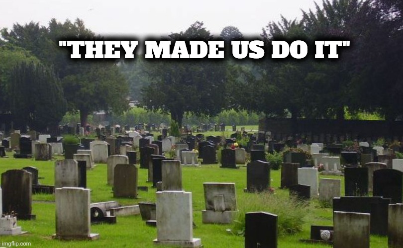 Graveyard | "THEY MADE US DO IT" | image tagged in graveyard | made w/ Imgflip meme maker