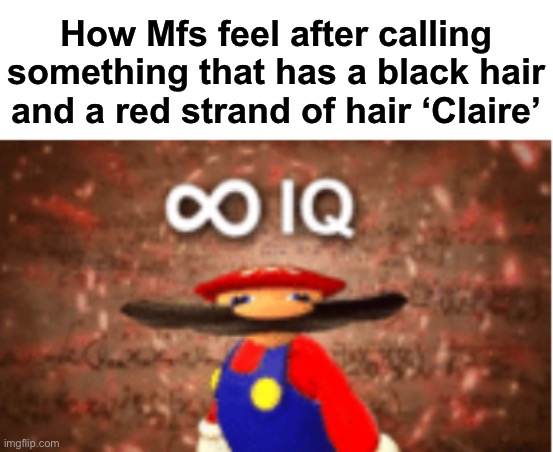 Worst part is that some exist before Claire | How Mfs feel after calling something that has a black hair and a red strand of hair ‘Claire’ | image tagged in infinite iq,msmg | made w/ Imgflip meme maker