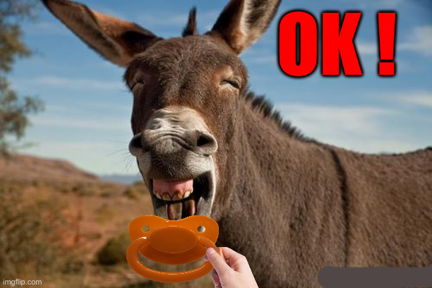 Donkey Jackass Braying | OK ! | image tagged in donkey jackass braying | made w/ Imgflip meme maker