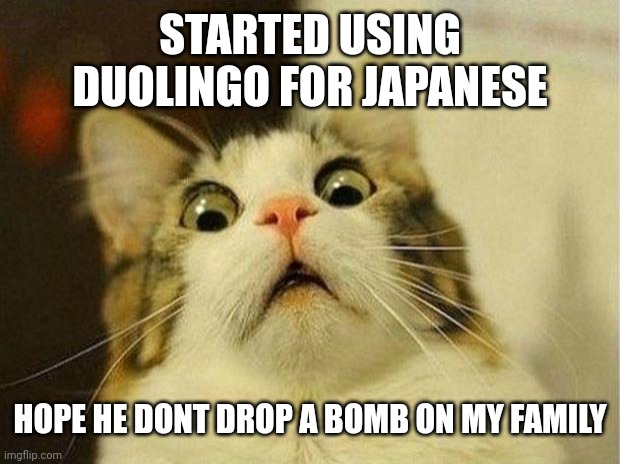 Scared Cat | STARTED USING DUOLINGO FOR JAPANESE; HOPE HE DONT DROP A BOMB ON MY FAMILY | image tagged in memes,scared cat | made w/ Imgflip meme maker