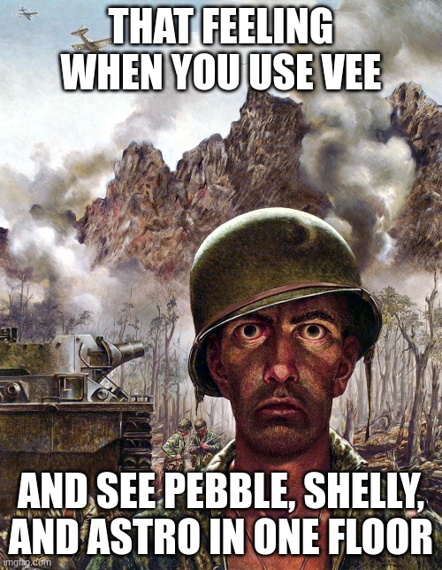 bye bye | THAT FEELING WHEN YOU USE VEE; AND SEE PEBBLE, SHELLY, AND ASTRO IN ONE FLOOR | image tagged in 1000 yard stare,its over | made w/ Imgflip meme maker