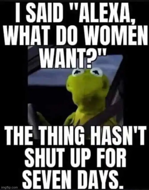 High maintenance women | image tagged in alexa,question,women,what do we want,good question,expectations | made w/ Imgflip meme maker