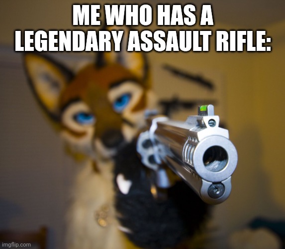 Furry with gun | ME WHO HAS A LEGENDARY ASSAULT RIFLE: | image tagged in furry with gun | made w/ Imgflip meme maker