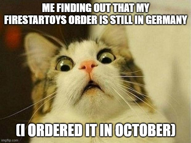 HEHE | ME FINDING OUT THAT MY FIRESTARTOYS ORDER IS STILL IN GERMANY; (I ORDERED IT IN OCTOBER) | image tagged in memes,scared cat | made w/ Imgflip meme maker