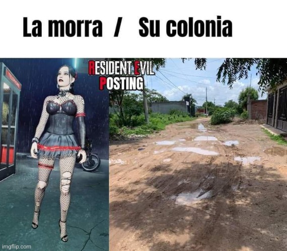9cln05.jpg