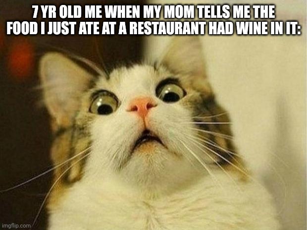 [insert title here] | 7 YR OLD ME WHEN MY MOM TELLS ME THE FOOD I JUST ATE AT A RESTAURANT HAD WINE IN IT: | image tagged in memes,scared cat | made w/ Imgflip meme maker