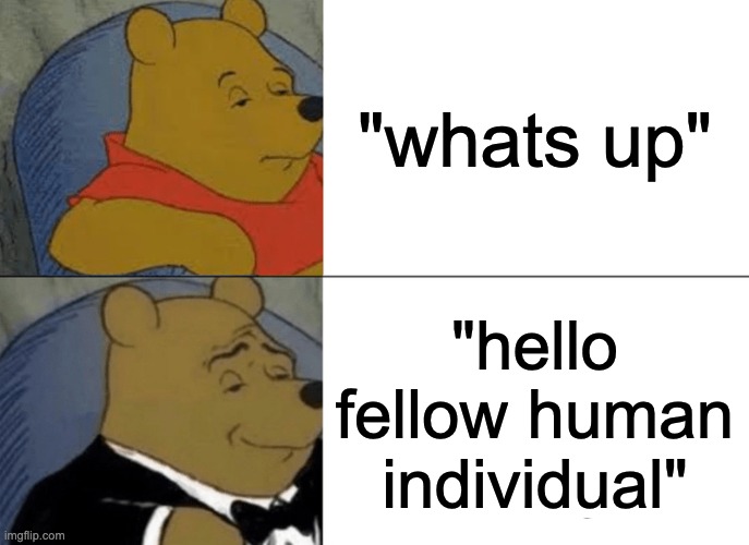 types of greating | "whats up"; "hello fellow human individual" | image tagged in memes,tuxedo winnie the pooh | made w/ Imgflip meme maker