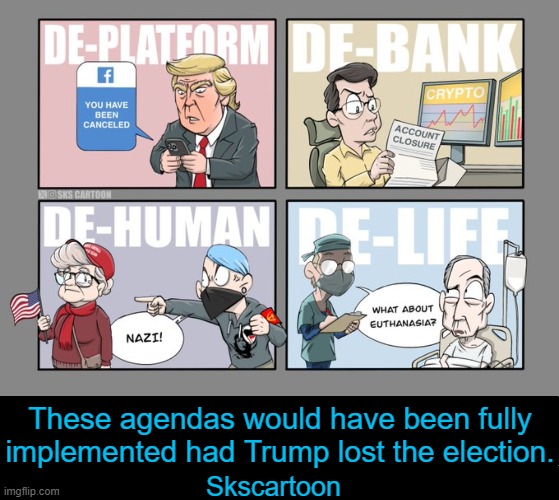 Trump Taking Back Our Country For We The People | These agendas would have been fully implemented had Trump lost the election. Skscartoon | image tagged in enemies,freedom,freedom of speech,freedom in america,america,truth | made w/ Imgflip meme maker