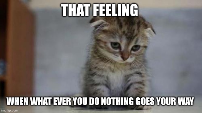 Sad kitten | THAT FEELING; WHEN WHAT EVER YOU DO NOTHING GOES YOUR WAY | image tagged in sad kitten | made w/ Imgflip meme maker