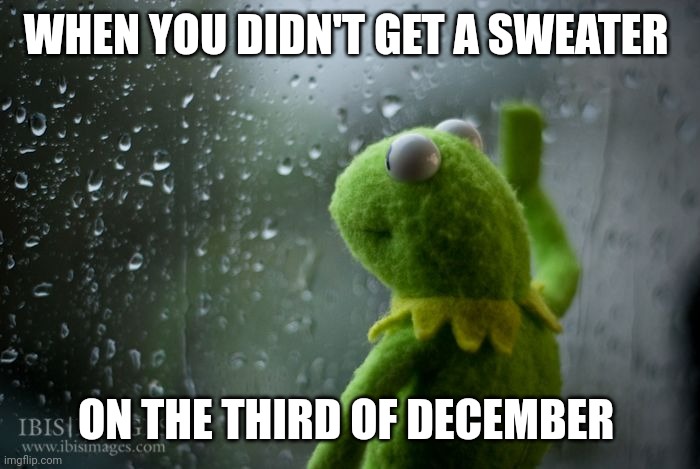 If ykyk | WHEN YOU DIDN'T GET A SWEATER; ON THE THIRD OF DECEMBER | image tagged in kermit window | made w/ Imgflip meme maker