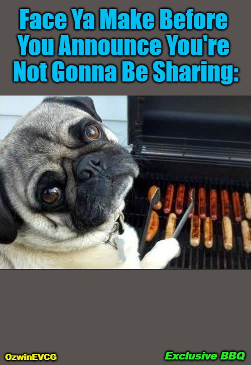 2EB2 | Face Ya Make Before 

You Announce You're 

Not Gonna Be Sharing:; OzwinEVCG; Exclusive BBQ | image tagged in dogs,barbecue,animals,awkward yet endearing,announcement,role reversal | made w/ Imgflip meme maker