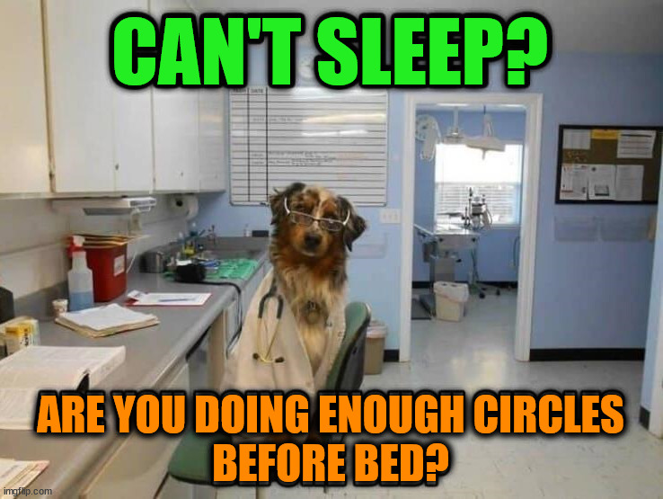 Sleeping dogs | CAN'T SLEEP? ARE YOU DOING ENOUGH CIRCLES
BEFORE BED? | image tagged in dogs | made w/ Imgflip meme maker